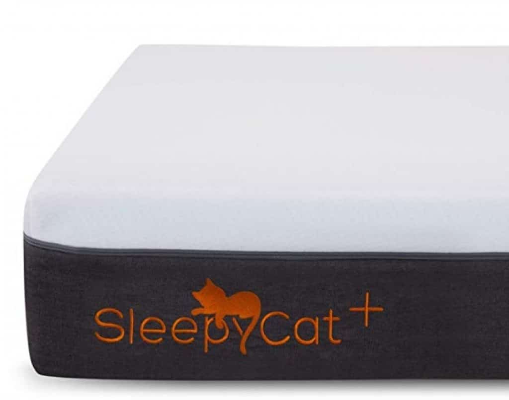 SLEEPYCAT Plus Orthopedic Gel Memory Foam