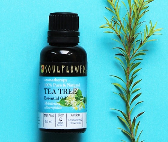 Soulflower Essential Oil Tea Tree