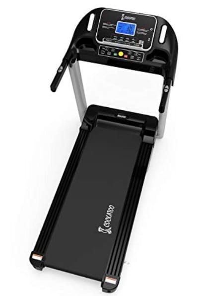 Cockatoo Treadmill
