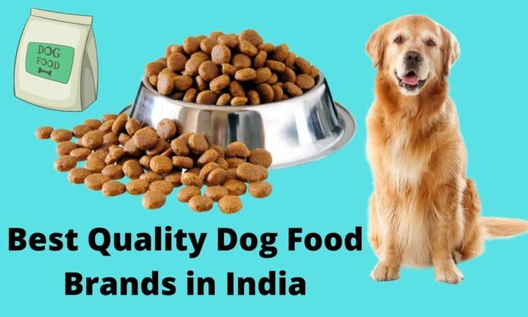 Best Quality Dog Food Brands in India